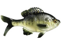 13 Fishing - Coalition Bait Co The Gill Swimbait