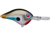 Head Hunter Shad Dad Crankbait Medium Diver