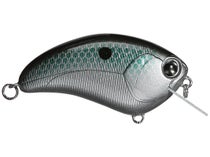 Ima Square Bill Shallow Diving Crankbait Lure - Bill Lowen Signature -  Citrus Sd