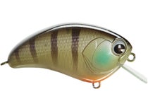 Ima Square Bill Shallow Diving Crankbait Lure - Bill Lowen Signature -  Citrus Sd