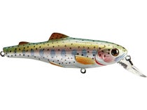 Live Target Trout Jerkbait / Crankbait (TF50S) 1/8oz Any Rainbow, Brook or  Brown