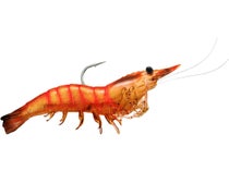 LiveTarget Lures 1/0 Rigged Shrimp, 1/4oz, Pink - 4 pack