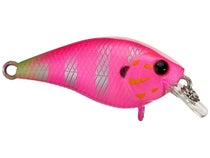 LUCKY CRAFT NETWORK MEMBER'S NW 2000 Fishing Lure #AJ34 https