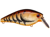 Lucky Craft Fat CB SR Squarebill Crankbait 