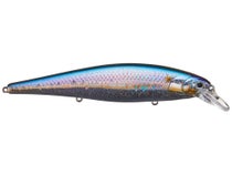 Lucky Craft Pointer 128 MS American Shad