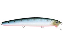 Buy LUCKY CRAFTFlashMinnow 110SP, Fishing Jerkbait Side by Side Action  Lure, Halibut Striper Calico Bass White Seabass Perfect Wobbling Surf  Fishing Online at desertcartEGYPT