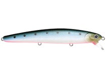 LUCKY CRAFT Flashminnow 110 (711 Super Glow Cherry Berry) : :  Sports, Fitness & Outdoors