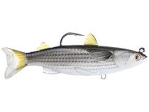 Live Target Golden Shiner 60 Glow Gold Jagged Tooth Tackle