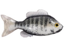 LIVETARGET ICT Unrigged Sunfish Swimbait