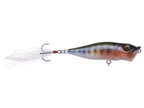 Leurre de pêche Megabass Rare Pop X et POPMAX Set