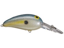 Norman Middle N Sexy Shad