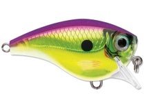 Rapala Balsa Xtreme BX Brat 3 Squarebill Crankbaits