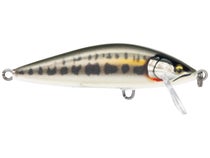How to catch fish on the Rapala Countdown Elite 