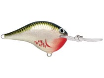  Rapala Dives-to 10 Live Largemouth Bass Lure, Multi, One Size  (DT10LBL) : Sports & Outdoors