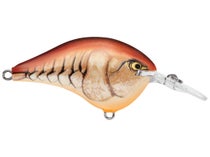 Rapala DT (Dives-To) Series Mule