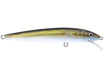  Rapala Husky Jerk 08 Fishing lure (Tennessee Shad, Size-  3.125), Blue Minnow : Fishing Diving Lures : Sports & Outdoors