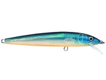 This JOINTED Jerkbait Slays Massachusetts Fish  Rapala Jointed Minnow  Unboxing & Review 