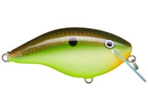 Rapala Ott's Garage OG Big Rocco Crankbaits