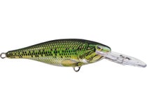 RAPALA CNR-7 CLACKIN' RAP Fishing Lure • GLASS GHOST – Toad Tackle