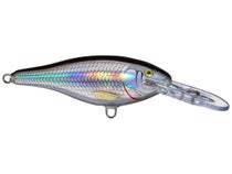 Rapala Shad Rap 6 Crankbaits