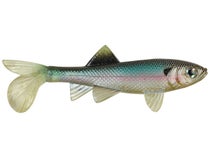 Berkley Nessie Soft Glide Bait - 9in - Rainbow Trout - TackleDirect
