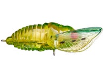 Savage Gear 3D Cicada - Fishing Tackle Direct