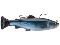 Savage Gear 3D 6-Inch Line Thru Trout Swimbait, 1-Ounce, Baby Bass, Soft  Plastic Lures -  Canada