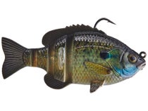 Savage Gear Pulse Tail Bluegill RTF Fishing Bait, 1 oz, Crappie, Realistic  Contours, Colors and Movement, Durable Construction, Heavy-Duty Fishing  Hook, Built-in Rattle : Sports & Outdoors 