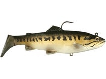 SG Pulse Tail trout RTF Fast sink 10 Swimbait