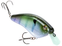 Strike King Hardliner Flat Sided Crankbaits 