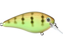 Strike King KVD Square Bill 2.5 / Chartreuse Perch