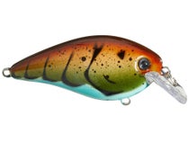 Strike King KVD 1.5 HC Squarebill Silent Crankbait 