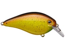 Lot De 3 Crankbaits Strike King KVD 1.5 Hard Knock – Leurres à Bec Carré – Neufs Sous Blister