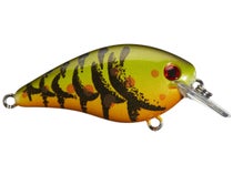 Strike King 2.75 Rage Swimmer with Mark Zona - Tackle Warehouse