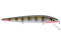  Smithwick Lures Perfect 10 Rogue Minnow-Style Jerkbait  Crankbait Fishing Lure, Freshwater Fishing Gear and Accessories, 5.5, 5/8  oz, Lacy Tiger : Sports & Outdoors