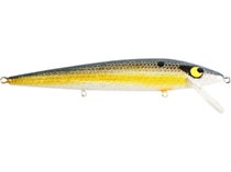 Smithwick Lures ASDRB12272 Suspending Rattlin' Rogue Lure, Foxy Shad, 4  1/2, Topwater Lures -  Canada