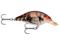 Storm Speed Trap Crankbaits