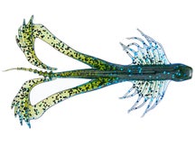 10,000 Fish Zuchi Bug 6pk