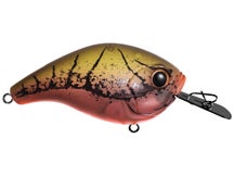 13 Fishing Jabber Jaw Hybrid Squarebill Crankbait