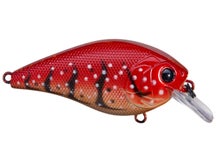 6th Sense Crush 50x Squarebill Crimson Craw