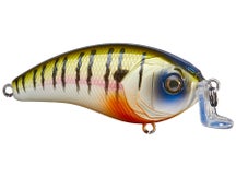 6th Sense Swank 66X Crankbait