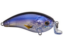 6th Sense Swank 66X Crankbait