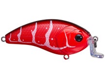 6th Sense Swank 66X Crankbait