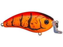 6th Sense Swank 77X Crankbait Boiled Crawfish