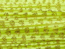 All Terrain Skirts Nature Scale Skirting Material 20pk