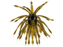 6th Sense The Abstract Creature Bait