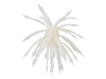 6th Sense The Abstract Creature Bait