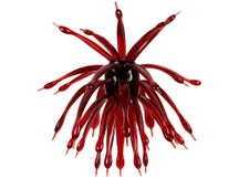 6th Sense The Abstract Creature Bait