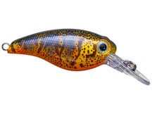 Azuma Claud Hopper Jr Crankbaits