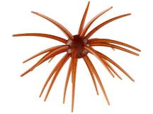 Arsenal Fishing Morning Star Urchin 20mm